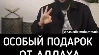 ИСЛАМСКИЕ ХАДИСЫ ПОЖАЛУЙСТА ПОДПИСЫВАЙТЕСЬ И СТАВЬТЕ ЛАЙКИ СПАСИБО
