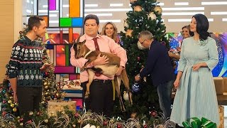 Новогодний эфир программы «Доброе Утро»