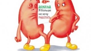 ***Почки Человека и Их Функции***|***Pochki Cheloveka i Ih Funkcii***