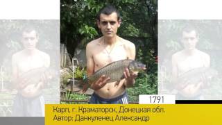 Фотоальбом - Рыбалка №358