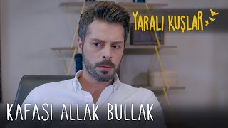 Kafası allak bullak! | Yaralı Kuşlar 128. Bölüm