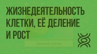 Жизнедеятельность клетки, её деление и рост. Видеоурок по биологии 5 класс