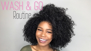Wash & Go Routine| 1yr Update♡