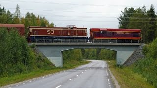 T41 204 & T42 205 (EMD G12 General Motors Diesel demonstrator 7707) på Haparandabanan