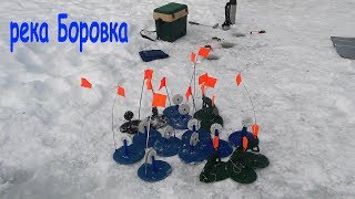 Зимняя рыбалка на реке Боровка. Поймал налима, отпустил щуку.