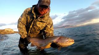 Bobber Down Fly Fishing for Cutthroat With Pyramid Lake Guides