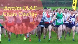 Antrim IAAF Cross Country 2017 | Men's Race |