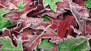 Расслабляющие звуки Звуки природы Шум реки Relaxing sounds Sounds of nature the sound of the river