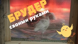 Брудер своими руками. Кормление цыплят и индюшат.