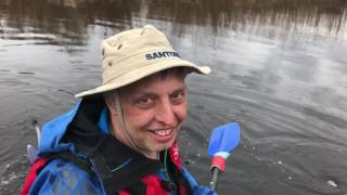 Медведица 2017