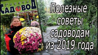 Полезные советы садоводам из 2019 года