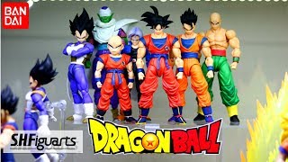 S.H Figuarts Dragon Ball Collection - 6