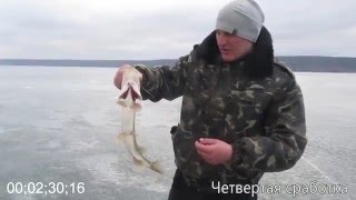 Одна из последних рыбалок на жерлицы. 21.02.16 (Печенежское водохранилище)