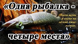 "Одна рыбалка - четыре места" - Ловля щуки и окуня на лёгкий джиг осенью.