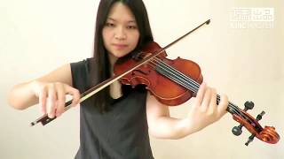 ZAYN - Dusk Till Dawn ft. Sia(Violin Cover)