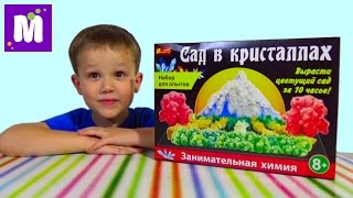 Сад в кристаллах набор проводим эксперимент
