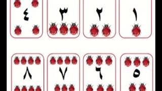 Ауио  Уроки Арабского языка № 6 по методу Берлец