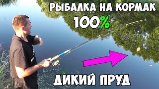 РЫБАЛКА на КОРМАК и ПОПЛАВОК - КАРАСЬ на ДИКОМ ПРУДУ