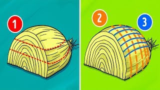 28 KITCHEN HACKS THAT WILL SAVE YOUR TIME, MONEY AND HASSLE