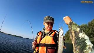 ЖОР ЩУКИ на Ириклинском водохранилище