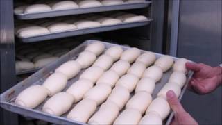 Fermentadora Klimaquip