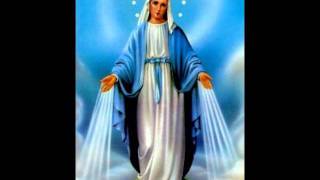 Ave Maria ( Verbum Panis)