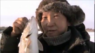 «Зимняя рыбалка на реке Мома с использованием летней удочки»