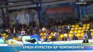 Еркін күрес балуандары белдесті