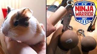 DIY Fat Grips, Ball Grips & Baby Guinea Pigs Update