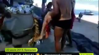 Туристы сняли на видео смерть девушки в пасти акулы ВИДЕО
