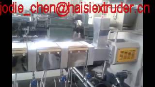PP PE calcium carbonate filler master batch extruder machine