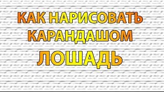 Видео: Как нарисовать ЛОШАДЬ карандашом поэтапно для начинающих?