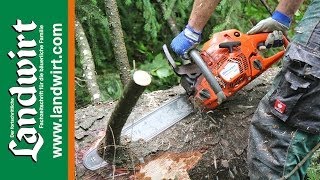 Husqvarna 550 XP und 555