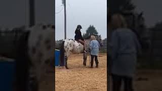 1st riding lesson for Bella at R&R New Options.