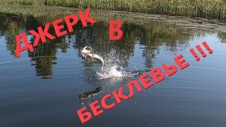 Если Щука не клюет - Лови на Джерк!