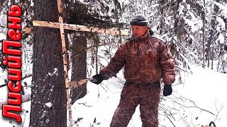 Капкан на соболя, куницу(норку)