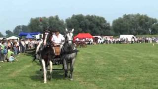 Championat Koni Opatowiec 2011