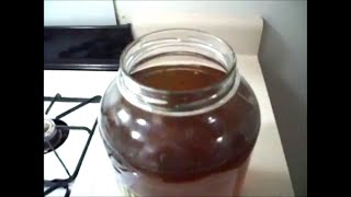 Kombucha: How to Make a 1 Gallon Batch