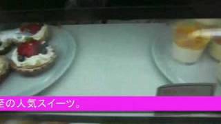 【グルメウォーカー】necomameCAFE　ねこまめカフェ【名古屋市中川区】