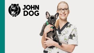 Kalendarz szczepień, szczeniak - ZDROWIE PSA - John Dog