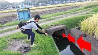 こんな所にルアーを投げたら大物が食いついた‼