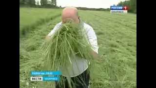 Вести-Хабаровск. Сенокос в сырое лето