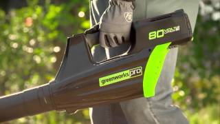 Обзор Воздуходувка аккумуляторная GreenWorks GD80BL в работе.
