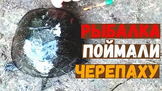 Думал там огромный карп. Рыбалка июль 2019. Поймали черепаху на удочку