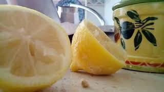 Germinar semillas de limon facil y rapido paso a paso