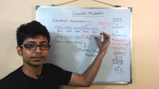 Point mutation