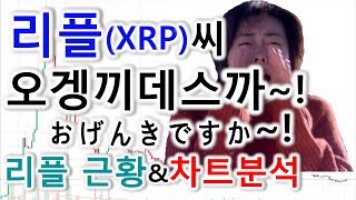리플 코인 최신 근황 & 차트분석 / 리플(XRP) 가격 전망 / 리또속? (feat.오겡끼데스까)