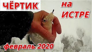 Рыбалка на чёртика на Истринском водохранилище. Две рыбалки в феврале 2020 г.