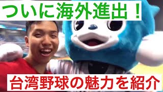 【あの応援歌も！？】台湾でラミゴモンキーズの試合を全身全霊で楽しんでみた