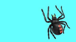 ? Игра для кошек, котов и котят! На экране онлайн для вашей кошки бегает паук по своей паутине!